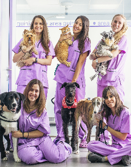 image-Module-1-ASV-:-</br>l&rsquo;animal-douloureux,-une-approche-globale