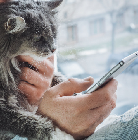 image-Module-6-:-</br>Évaluation-de-la-douleur